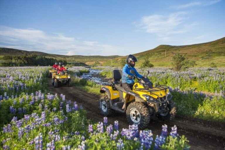 Golden Circle and ATV: Full-Day Combo Tour from Reykjavík - Exploring the Golden Circle