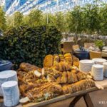 Golden Circle and Blue Lagoon Transfer in Small Group by Van - Transportation and Group Size: What It Means for You