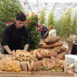 Golden Circle with Tomato Farm and Secret Lagoon(Optional) - FAQs About the Tour