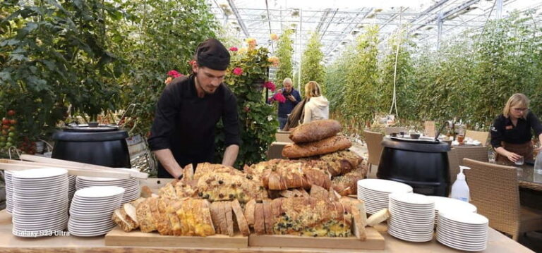 Golden Circle with Tomato Farm and Secret Lagoon(Optional) - FAQs About the Tour