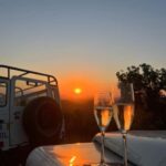 Golden Hour Safari in the Algarve - The Small Details That Matter