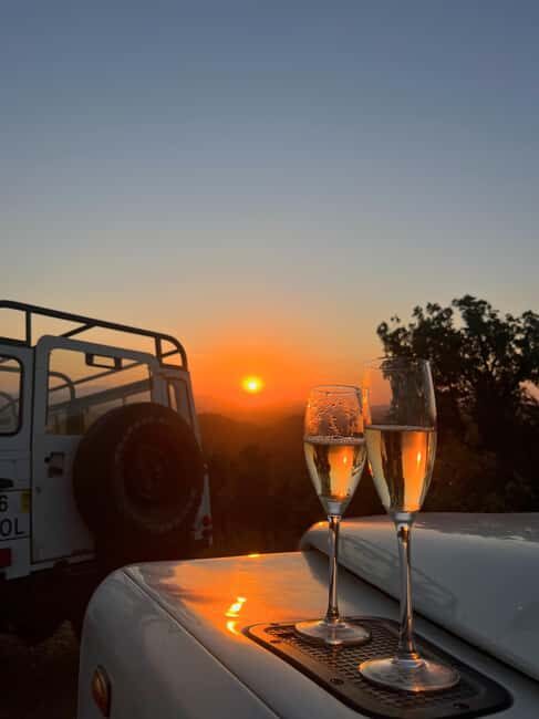 Golden Hour Safari in the Algarve - The Small Details That Matter