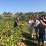 Golden stones Beaujolais Wine Tour with Tastings from Lyon - Things to Keep in Mind