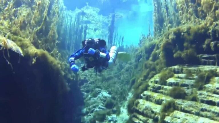 Golem/Durres: Ionian Sea Scuba Diving Experience - The Itinerary Breakdown