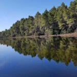 Golem/Durrës: Karavasta Lagoon Tour - The Experience Itself: What You Can Expect