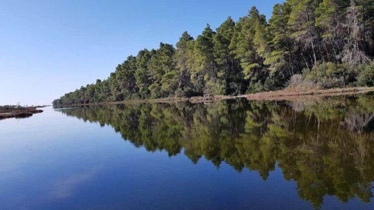 Golem/Durrës: Karavasta Lagoon Tour - The Experience Itself: What You Can Expect