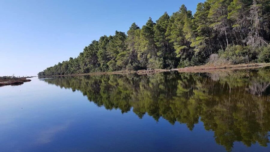 Golem/Durrës: Karavasta Lagoon Tour - The Experience Itself: What You Can Expect