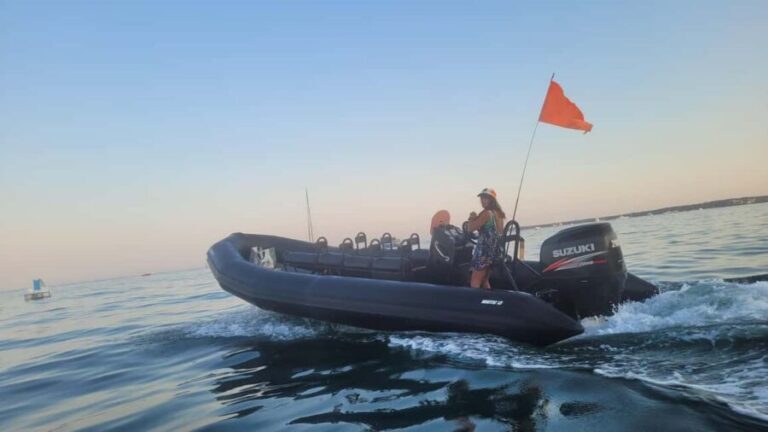 Golfe-Juan: Lérins Islands/Cap d'Antibes: 1.5-hour speedboat excursion - The Experience in Detail