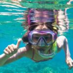 Golfo Aranci: Dolphin Watching and Snorkeling Boat Tour - An In-Depth Look at the Dolphin Watching and Snorkeling Tour