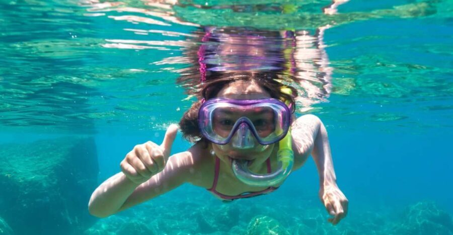 Golfo Aranci: Dolphin Watching and Snorkeling Boat Tour - An In-Depth Look at the Dolphin Watching and Snorkeling Tour