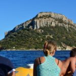 Golfo Aranci: Eco-Friendly Dolphin Watching Boat Trip - Why This Tour Offers Great Value