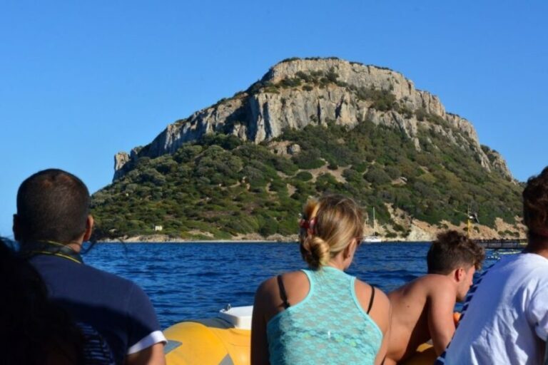 Golfo Aranci: Eco-Friendly Dolphin Watching Boat Trip - Why This Tour Offers Great Value