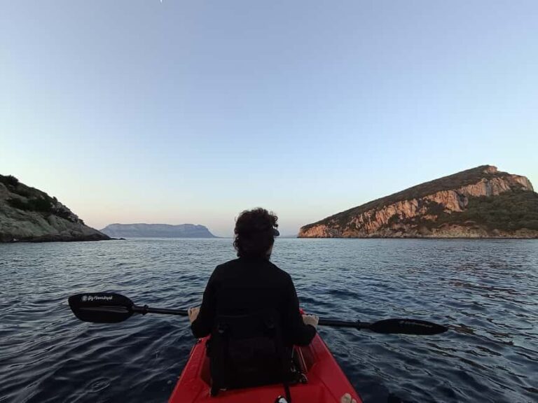 Golfo Aranci: Kayak tour with dolphin watching - The Experience Breakdown