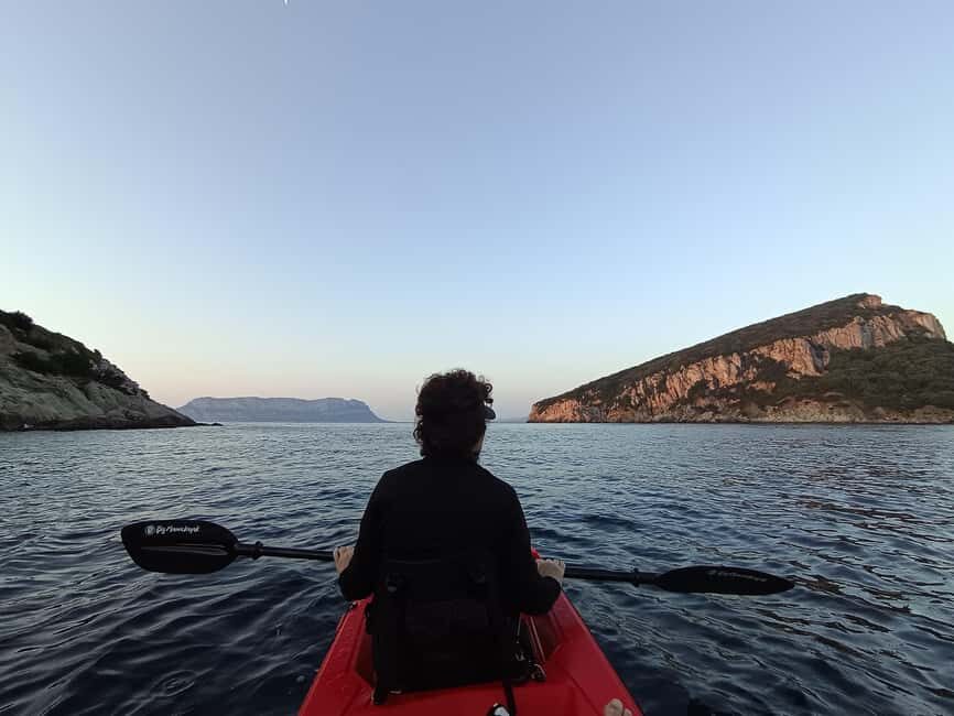 Golfo Aranci: Kayak tour with dolphin watching - The Experience Breakdown