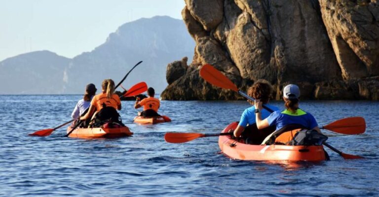 Golfo Aranci: Kayak Tour with Dolphins and Aperitif - The Experience: A Day in the Water