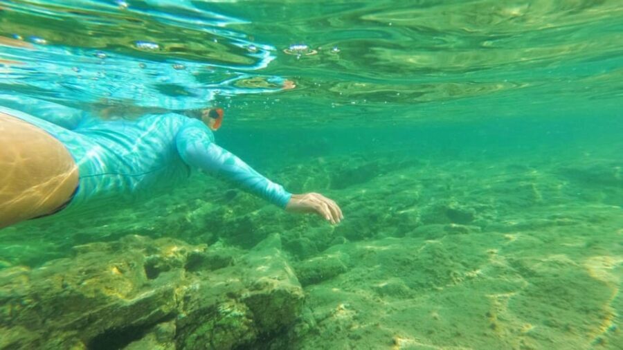 Golfo Aranci: RIB tour with Dolphin Watching - Value and Pricing