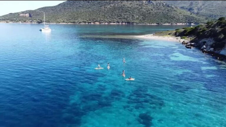 Golfo Aranci tour SUP Paddleboard Dolphin watching, aperitif - Who Will Love This Tour?