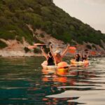 Golfo Aranci: traditional or transparent kayaks, dolphins, and aperitifs - The Kayak Choices and Why They Matter