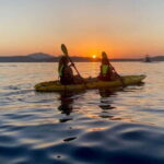 Golfo Aranci:Small group, german guided Kayak tour&Dolphins - What’s the Experience Like?