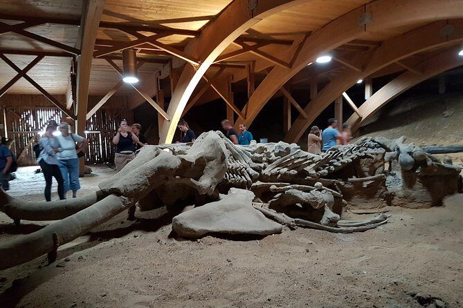 Golubac and Viminaciium tour from Belgrade - The Sum Up