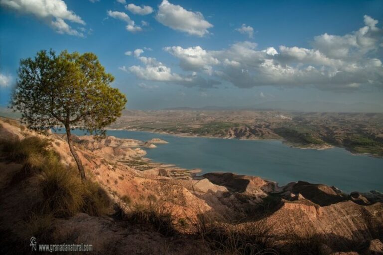 Gorafe: Los Coloraos Desert 4x4 Tour - The Practical Side: Duration, Price, and Group Size