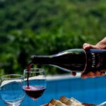 Gorika Brda: Wine Tasting with Local Snacks - The Practicalities