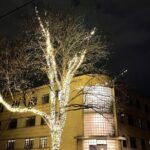 Gotham Private Haunted Driving Ghost Tour in Denver, CO - Authentic Feedback from Past Travelers