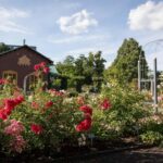 Gothenburg: Guided Walking Tour of the Main Landmarks - What You’re Likely to Experience