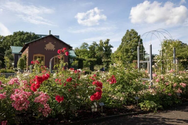 Gothenburg: Guided Walking Tour of the Main Landmarks - What You’re Likely to Experience