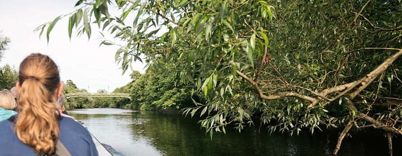 Gothenburg: Paddan Sightseeing Cruise on the River Säveån - The Highlights of the Route