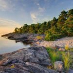 Gothenburg: Private Day Trip to Lake Vänern & Läckö Castle - What We Think About the Tour