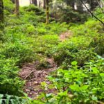 Gothenburg: The Local Experience - Home Visit, Food & Forest - Who Would Love This Tour?