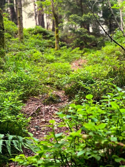 Gothenburg: The Local Experience - Home Visit, Food & Forest - Who Would Love This Tour?