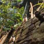 Gothenburg: Universeum Entry Ticket - What Makes Universeum Special