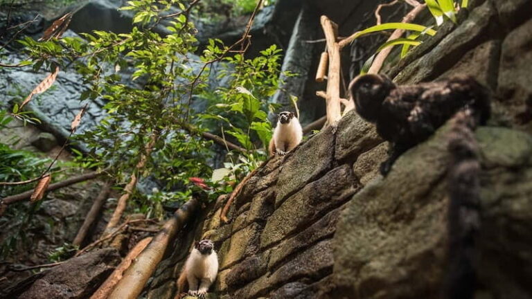 Gothenburg: Universeum Entry Ticket - What Makes Universeum Special