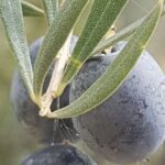 Gourmet Journey: 12-Course Lunch, Wine Tasting & Culinary Session - Practical Details & Considerations