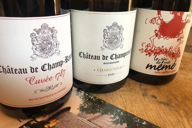 Gourmet walk in the gardens of Château Champ-Renard - The Itinerary in Detail