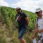 Gourmet walk in the heart of the vineyards with Champagne tasting near Epernay - A Closer Look at the Experience