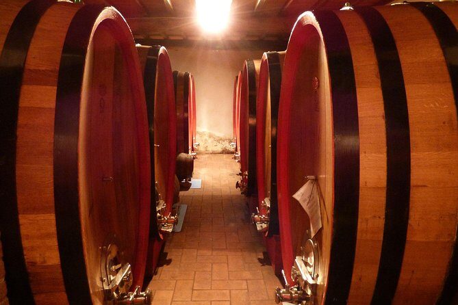 Gourmet Wine Tour San Gimignano Wine Tasting - San Quirico Winery - FAQs