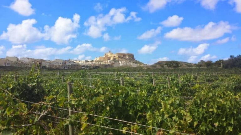 Gozo Victoria Walking Tour - What to Expect from the Tour