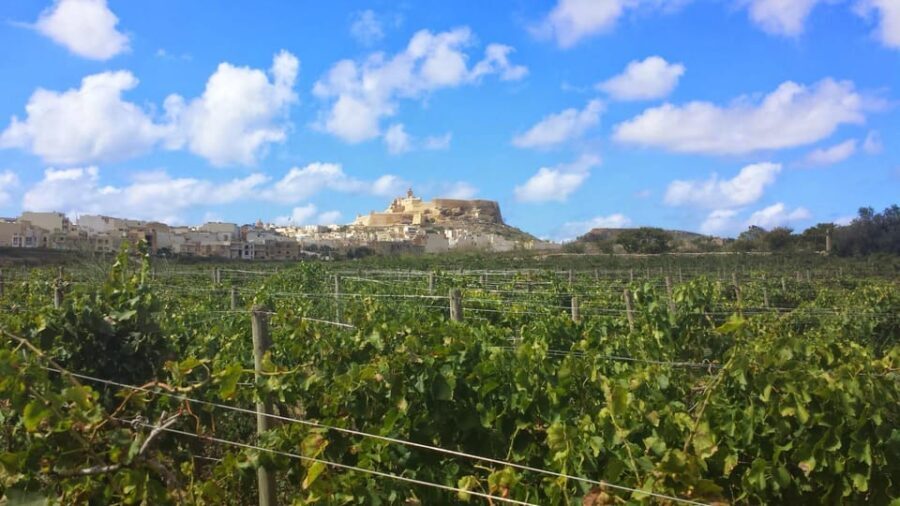 Gozo Victoria Walking Tour - What to Expect from the Tour