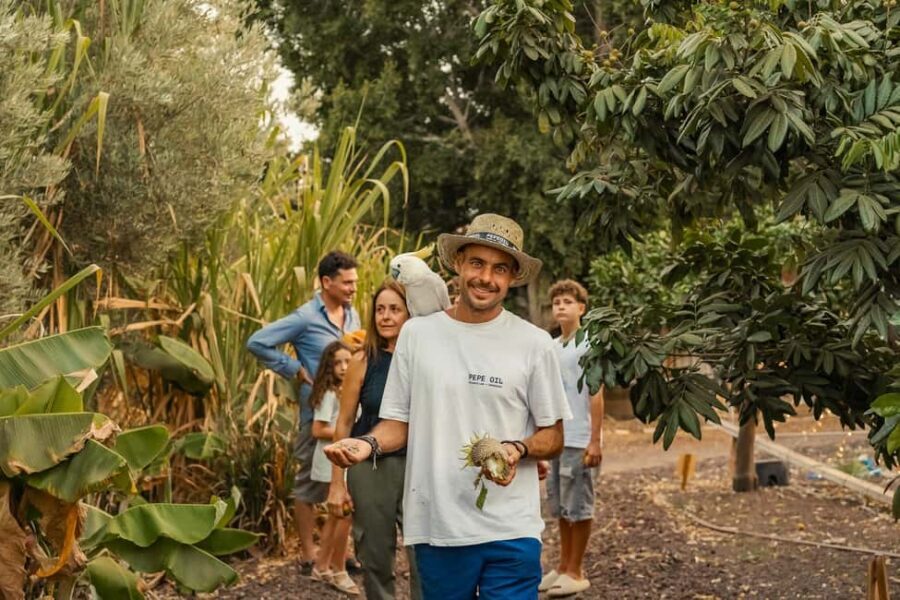 Gran Canaria: Agüimes, Gofio Mill & Eco Farm Food Tasting - Who Will Love This Tour?