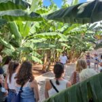 Gran Canaria: Banana World Guided Tour & Tasting - The Bottom Line
