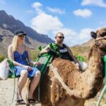 Gran Canaria: Camel Ride Safari w/ Optional Food & Transport - What Do Reviewers Say?