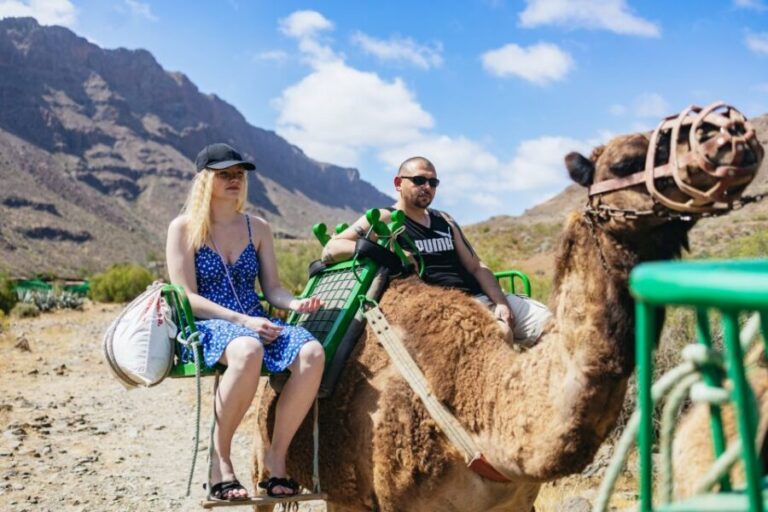Gran Canaria: Camel Ride Safari w/ Optional Food & Transport - What Do Reviewers Say?