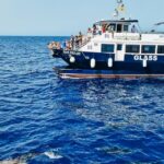 Gran Canaria: Catamaran Dolphin Watch Cruise with Snorkeling - The Itinerary in Detail
