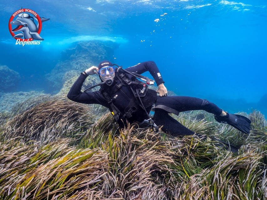 Gran Canaria: Discover Scuba Diving Beginner Program - What to Expect from the Experience