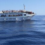 Gran Canaria: Dolphin and Whale Watching Cruise - The Marine Scenery and Photo Opportunities