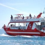 Gran Canaria: Dolphin and Whale Watching Cruise - Who Is This Tour Best For?