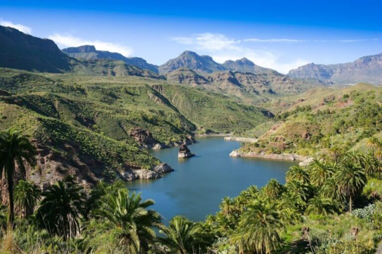 Gran Canaria: Full-Day VIP Tour by Bus - What to Expect on the Tour
